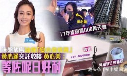 香港阿伯爆料视频大全集,揭秘幕后真相与民间视角